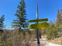 Altlacher Hochkopf Trail: Bild #46