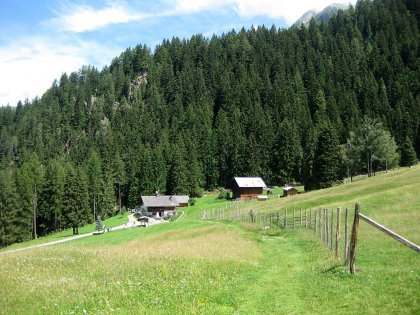Pfandler Alm