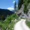 Landschaftlich reizvolle Mountainbike-Tour von Kreuth rund um Risserkogel, Schinder und Wallberg