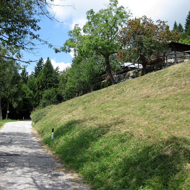 Von Levico Terme im Valsugana hinauf in Richtung Vetriolo Terme und weiter zur Rifugio Malga Masi unterhalb des Cima Panarotta