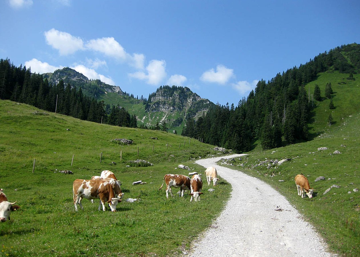 Von Schliersee Hennerer über das Tufftal und vorbei an der Raineralm hinauf zum Bodenschneidhaus