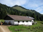 Welzenalm – © mtbsepp.de