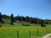 Laineralm – © mtbsepp.de