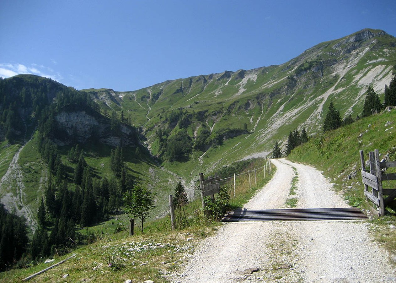 Von Achenwald hinauf in das abgelegene Almgebiet zwischen Juifen und Schulterberg