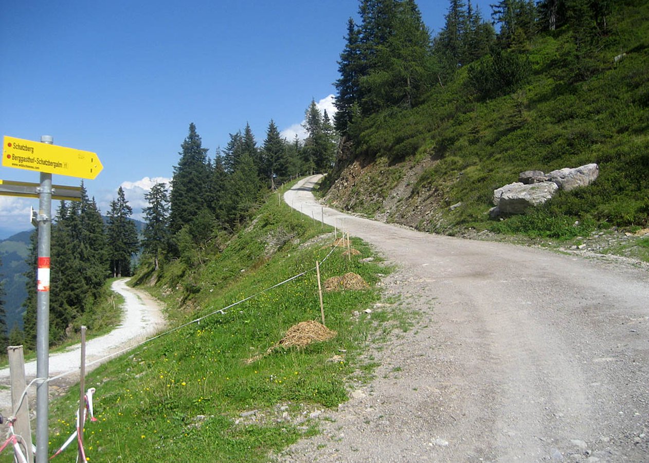 Von Auffach in der Wildschönau über das Berghaus Koglmoos hinauf zur Schatzberg-Alm am Schatzberg