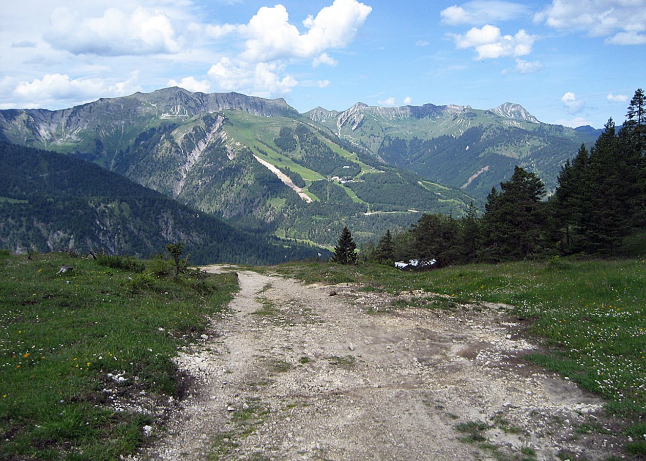 Von Achenkirch hinauf aufs Kögljochund über Steinberg rund um den Hochunnütz zurück zum Ausgangspunkt