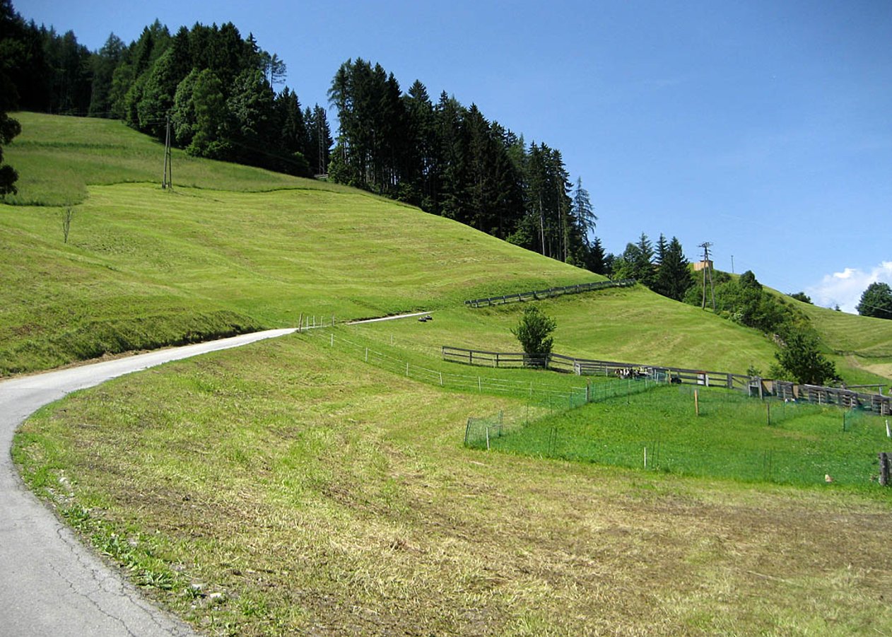 Von Buch in Tirol über Gallzein und Koglmoos zur Proxen Alm unterhalb von Gratzenkopf und Kellerjoch
