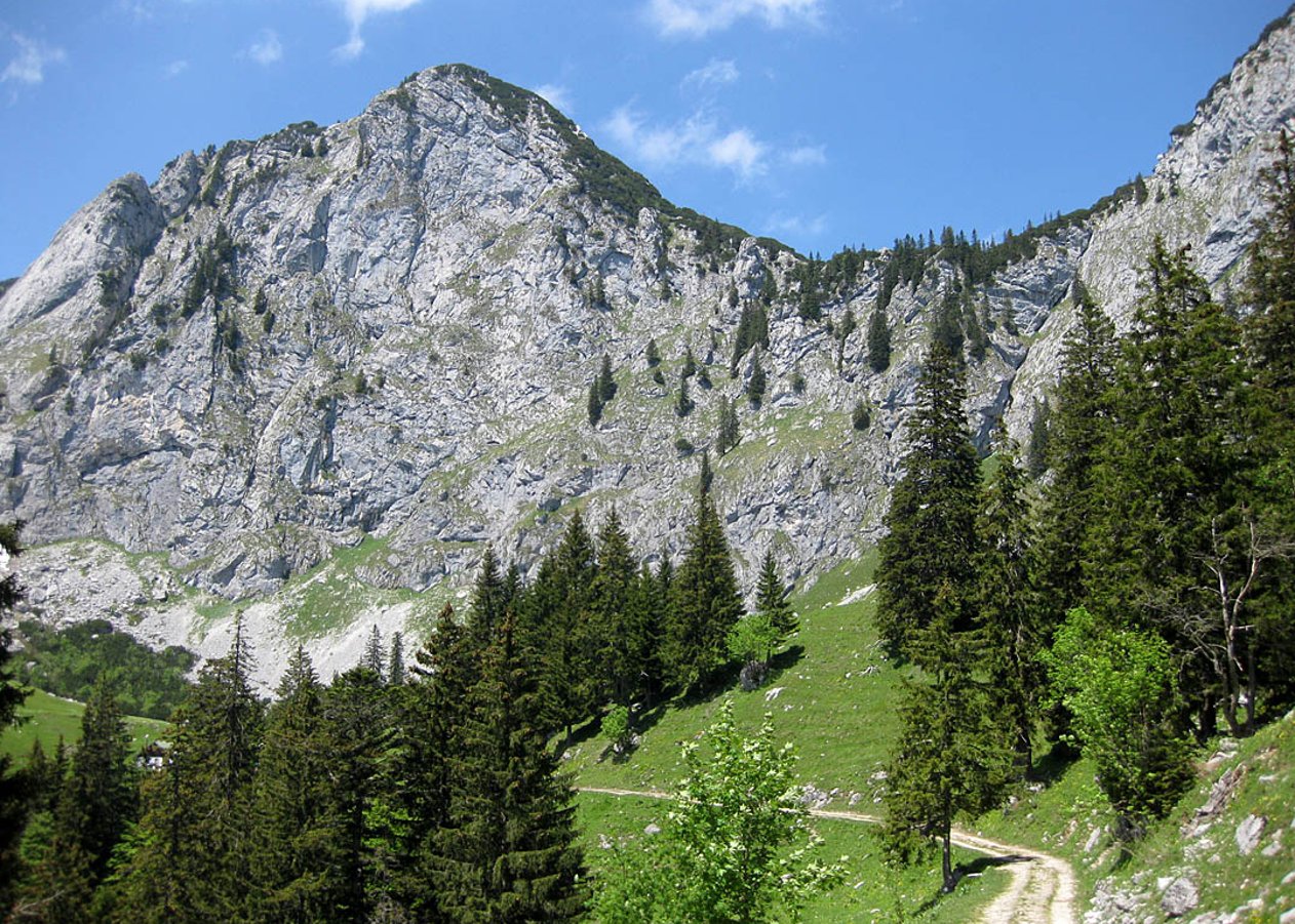 Beschwerliche Tour zu den traumhaft gelegenen Scharnitz-Almen unterhalb der Benediktenwand und der Achselköpfe