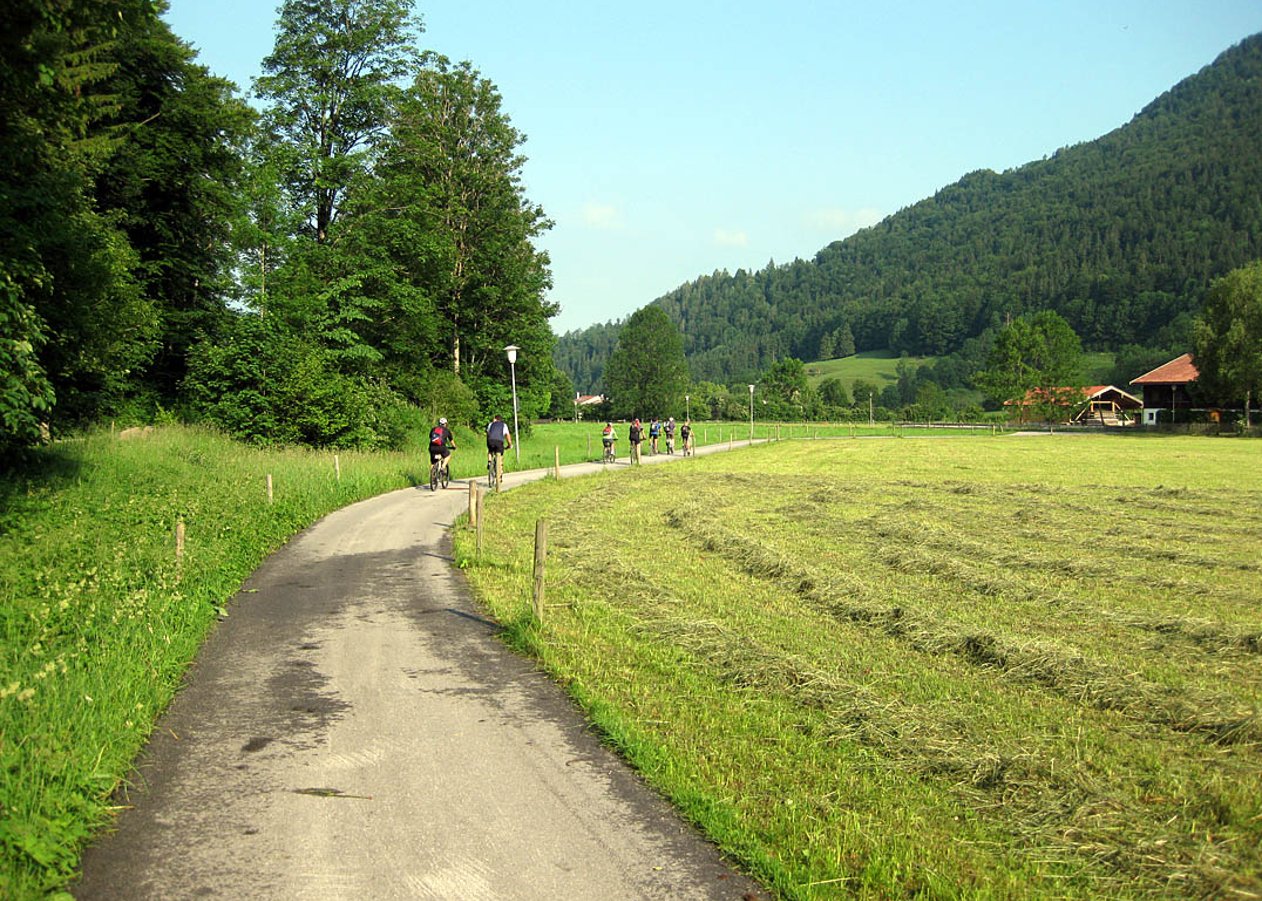 Von Enterrottach über die Kühzaglalm zur Unteren Freudenreichalm zwischen Bodenschneid und Brecherspitz