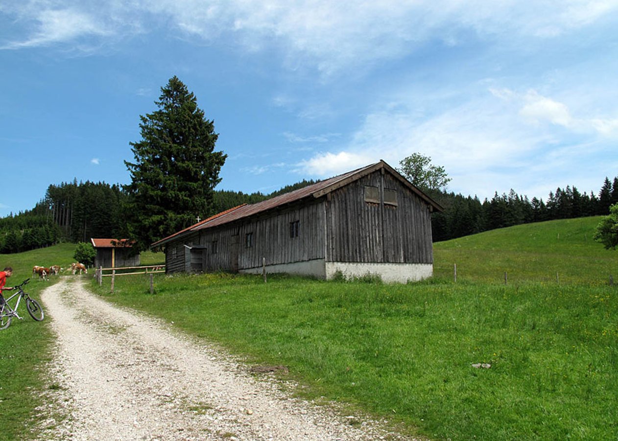 Kurze Feierabend-Tour vom Ortsteil Lehen bei Gaißach auf die nicht bewirtschaftete Schwaigeralm
