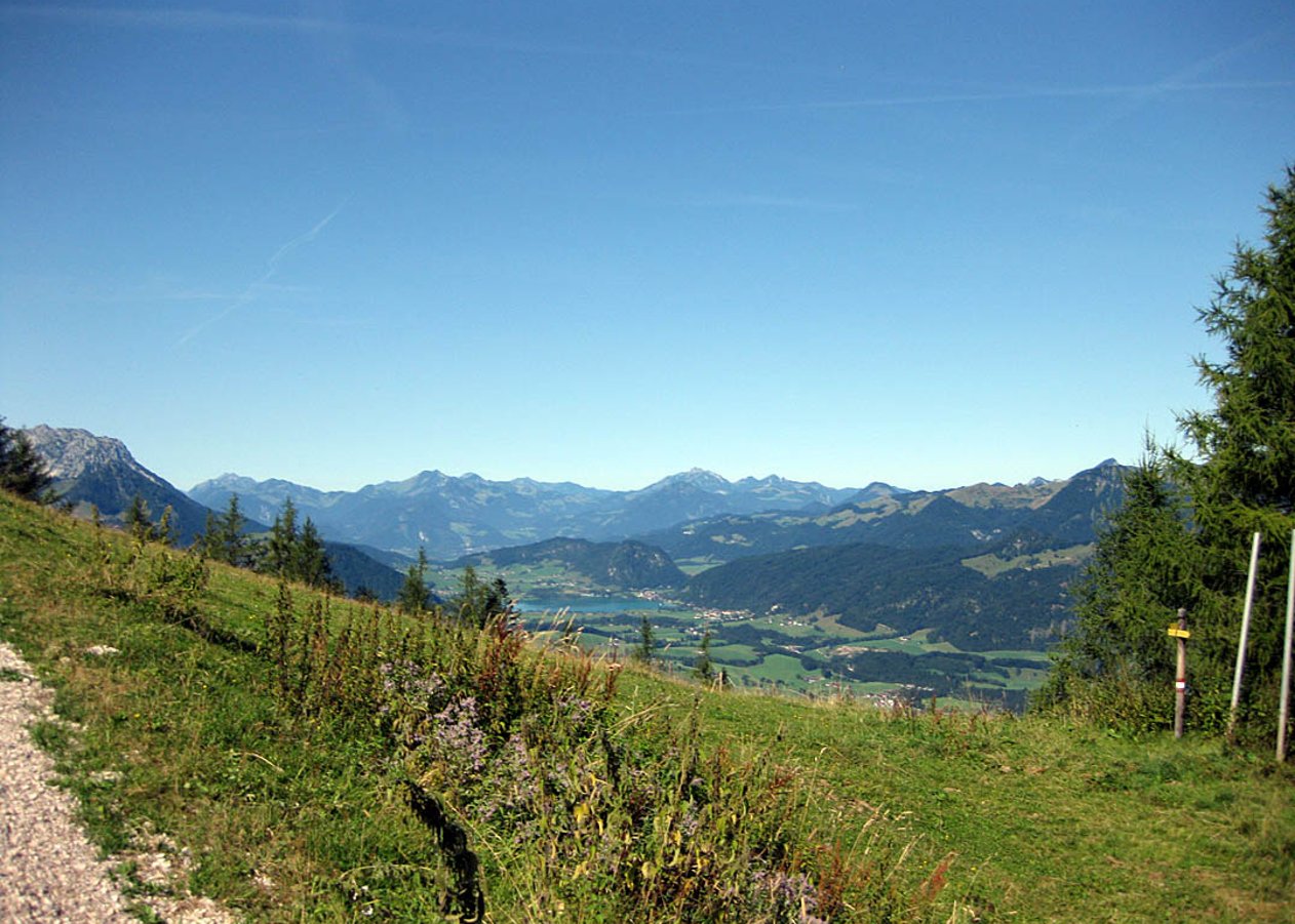 Herausfordernde Mountainbike-Tour von der Talstation der Bergbahnen in Kössen über Scheibenwaldhütte und Bärenhütte auf das Unterberghorn