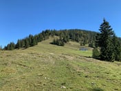 Grasbergalm – © mtbsepp.de