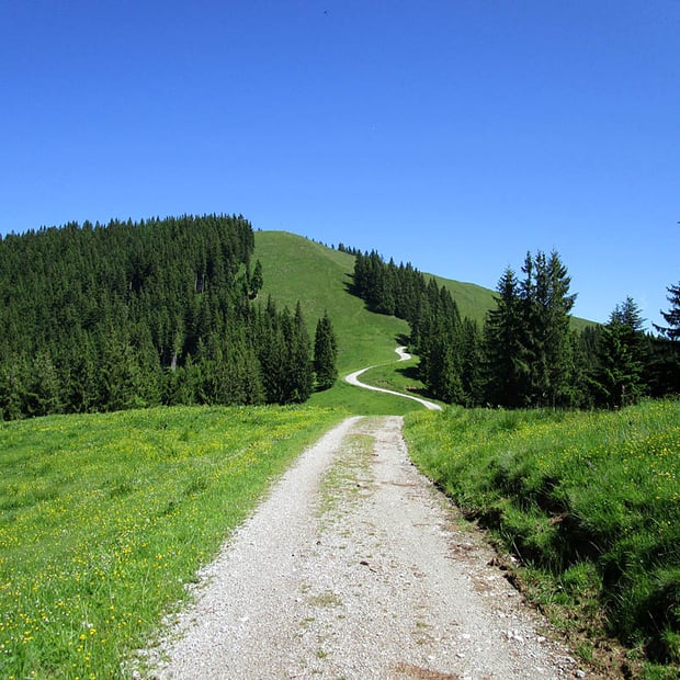 Ausgewogene Mountainbike-Tour von der Waldherralm über den Zwiesel zum Blomberghaus mit anschließender Abfahrt ins Tal und über Steinsäge zurück