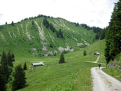 Amperthalalm – © mtbsepp.de
