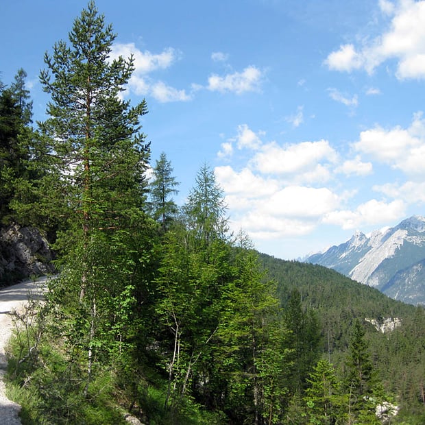 Einfache und kurzweilige Mountainbike-Tour von Scharnitz durch das landschaftlich schöne Gleirschtal zur Möslalm