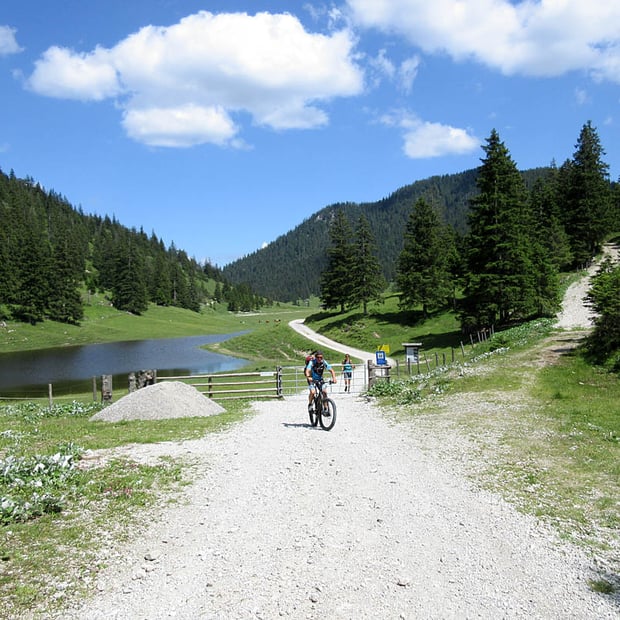 Relativ kurze aber dafür beschwerlich steile Mountainbike-Tour von Partenkirchen hinauf zur bewirteten Esterbergalm im Hochtal des Estergebirges