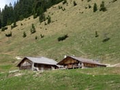 Gütenbergalm – © mtbsepp.de