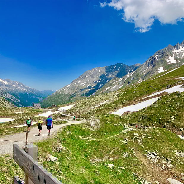 Vom Breitlahner über den Schlegeisstausee und durch den Zamsergrund hinauf zum Pfitscherjochhaus