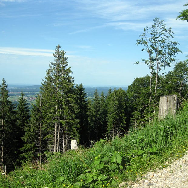 Knackige Feierabendtour von Greiling vorbei am ehemaligen Skilift hinauf zur Sigrizalm am Rechelkopf