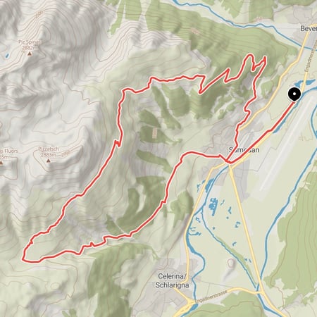Durch schöne Kiefernwälder zur Alp Muntasch, über einfache Singletrails ins Skigebiet Celerina und über Forststraßen zurück nach Samedan