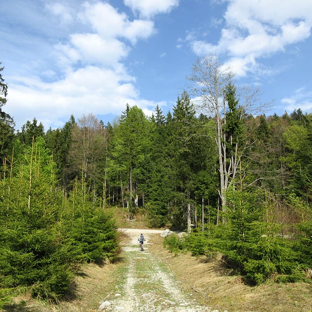 Genussvolle, ausgedehnte Mountainbike-Rundtour von Petern über die Reiseralm ins Isartal und über den Galgenwurfsattel zurück