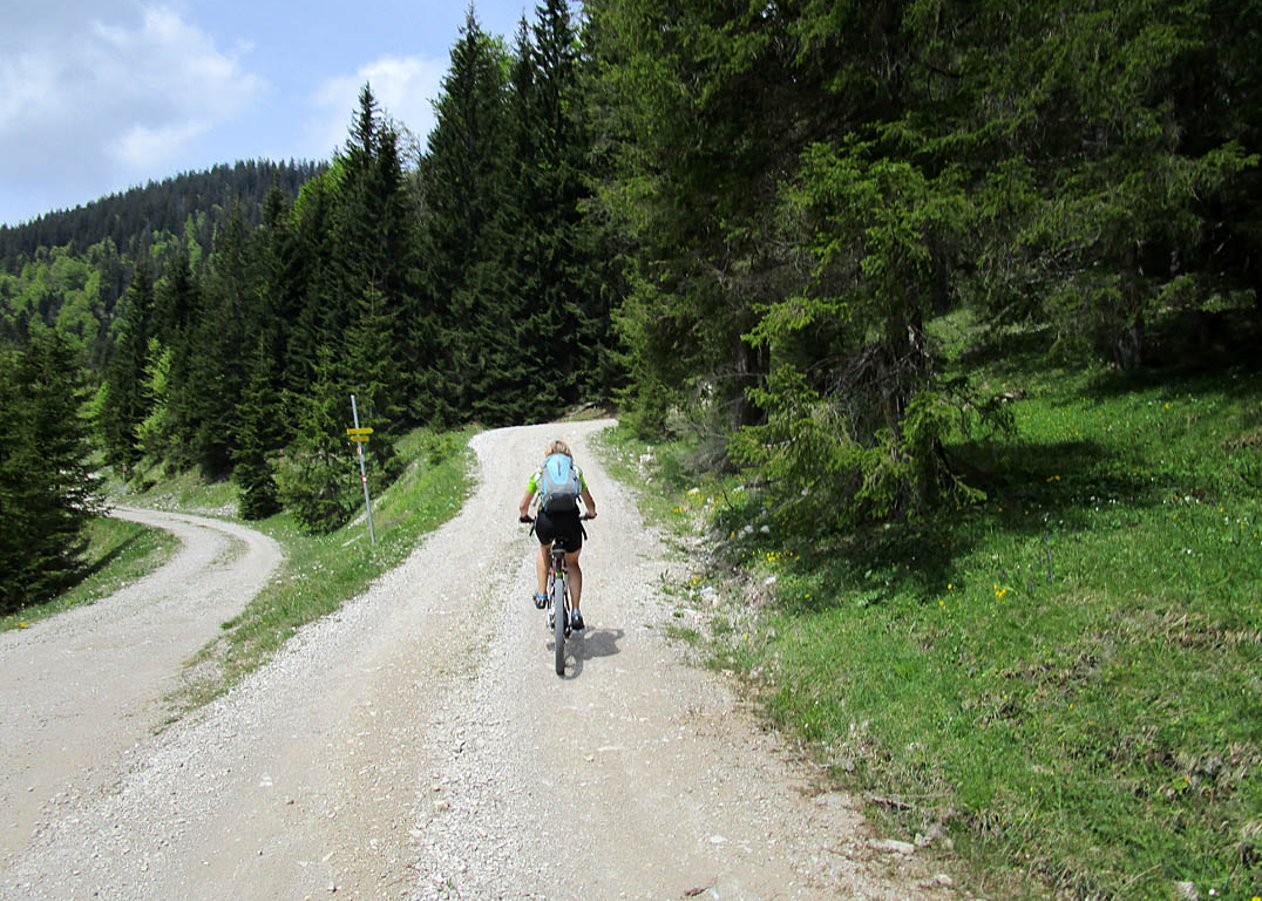 Von Achenwald nördlich des Achensees über das Klammbachtal zur schön gelegenen Blaubergalm im Mangfallgebirge