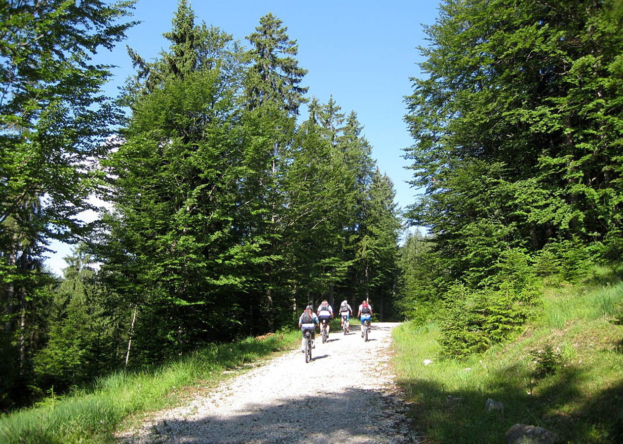 Entspannte Tour vom Walchensee zur Hochkopfhütte, der königlichen Jagdhütte am Altlacher Hochkopf