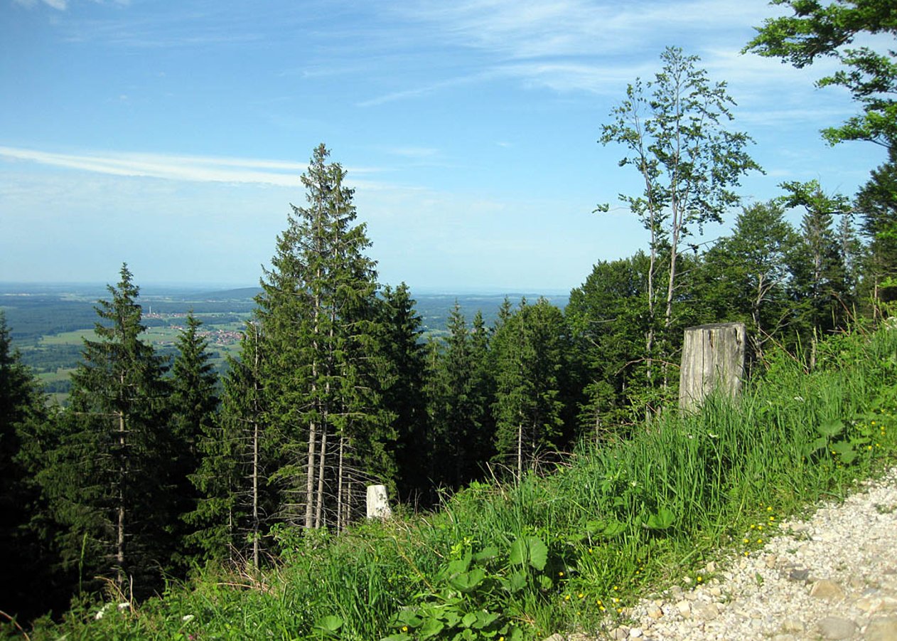 Knackige Feierabendtour von Greiling vorbei am ehemaligen Skilift hinauf zur Sigrizalm am Rechelkopf