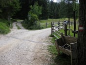 Wegesrand nahe Radein – © mtbsepp.de