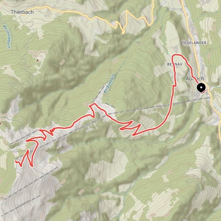 Von Auffach in der Wildschönau über das Berghaus Koglmoos hinauf zur Schatzberg-Alm am Schatzberg