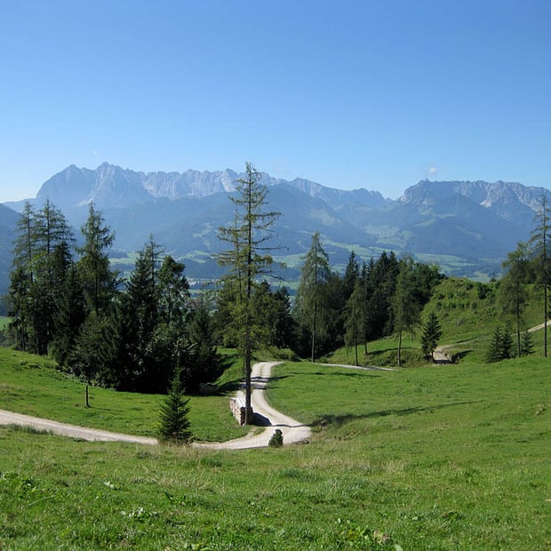 Kurze Mountainbike-Tour von Kössen hinauf zur gemütlichen, idyllisch gelegenen Frankenalm am Fuße des Sonnwendköpfl