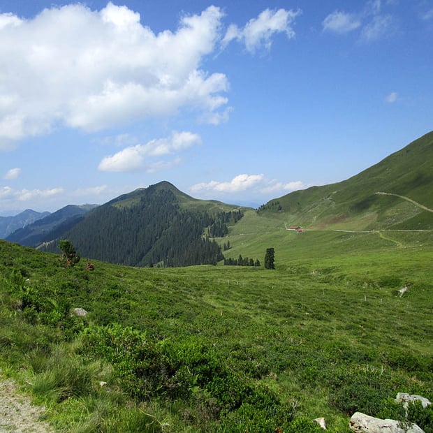 Mountainbike-Tour durch den Lueger Graben zur Faulbaumgartenalm und weiter zur Feldalm oberhalb des Alpbachtals