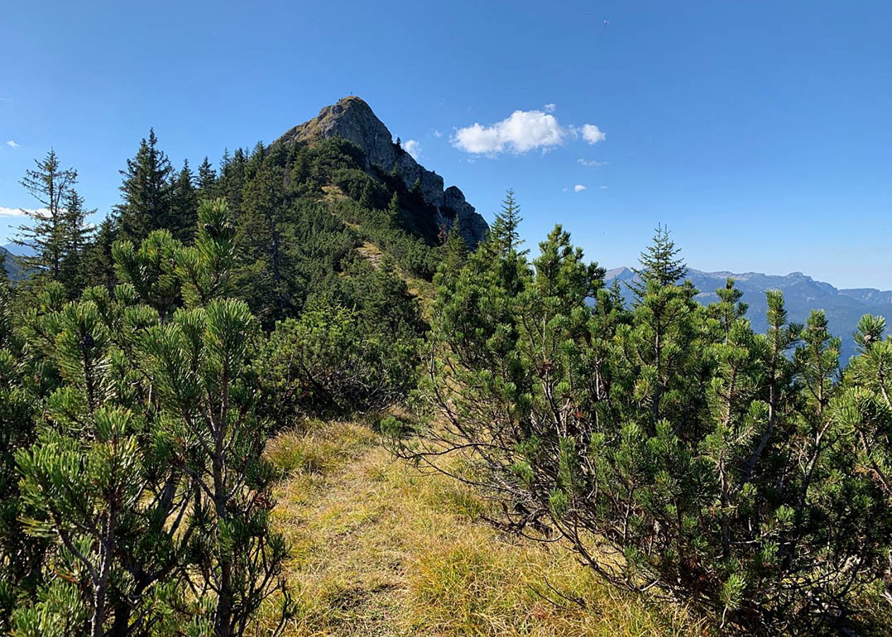 Einsame aber landschaftlich traumhafte Bike & Hike Tour von Vorderriß auf den Hohen Grasberg im bayerischen Karwendel