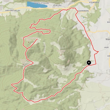 Ausgewogene Mountainbike-Tour von der Waldherralm über den Zwiesel zum Blomberghaus mit anschließender Abfahrt ins Tal und über Steinsäge zurück