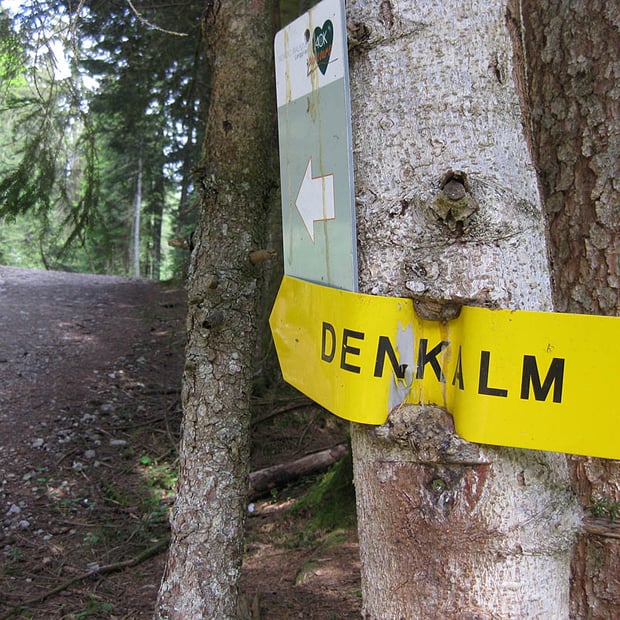 Kurze aber anspruchsvolle Mountainbike-Rundtour von Lenggries über den Keilkopf zur beliebten Denkalm