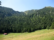 Holzpointalm – © mtbsepp.de