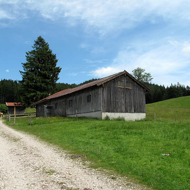 Kurze Feierabend-Tour vom Ortsteil Lehen bei Gaißach auf die nicht bewirtschaftete Schwaigeralm