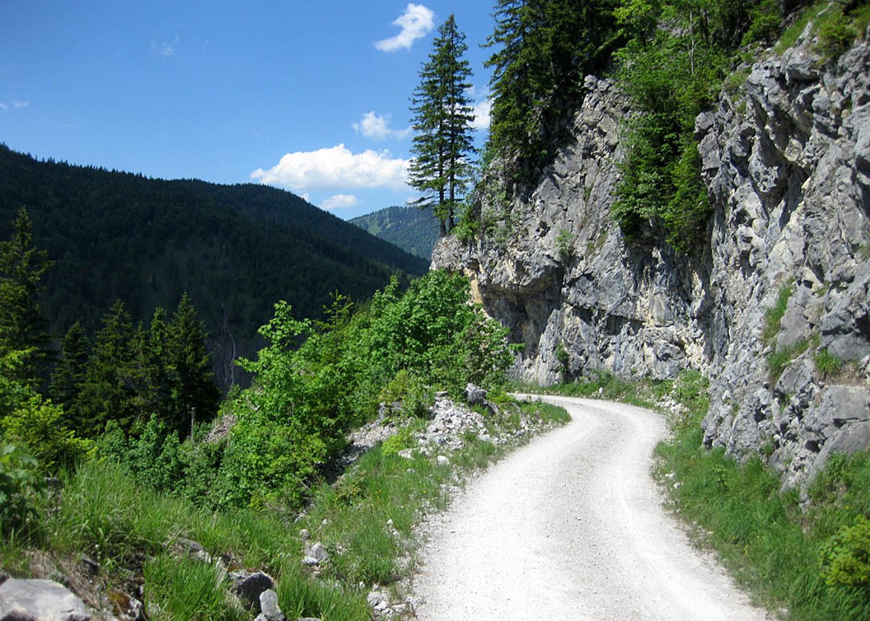 Landschaftlich reizvolle Mountainbike-Tour von Kreuth rund um Risserkogel, Schinder und Wallberg