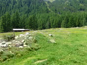 Alp Pignaint – © mtbsepp.de