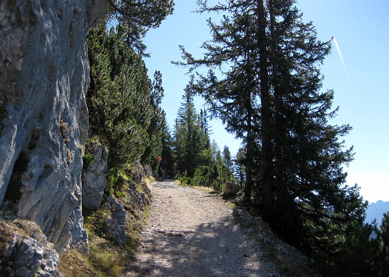 Mountainbike Tour für Geübte von Scharnitz hinauf zur Pleisenhütte unterhalb der Pleisenspitze