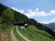Nivenolalm – © mtbsepp.de