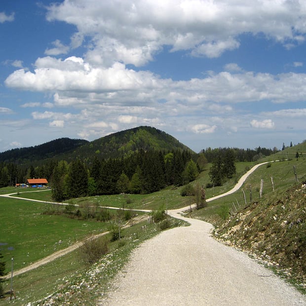 Von Frasdorf über Frasdorfer Hütte vorbei an Schmiedalm und Hofalm hinauf zur Riesenhütte am Hochries