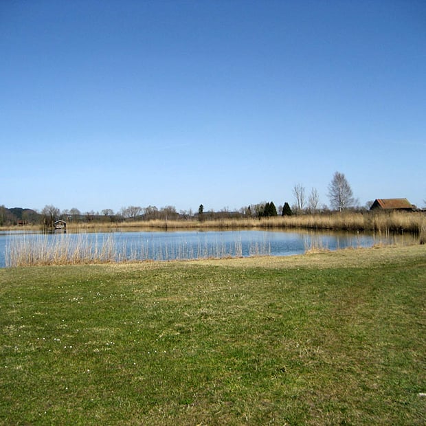 Gemütliche Bike-Rundfahrt durch das Blaue Land von Sindelsdorf durch das Loisach-Kochelsee-Moor