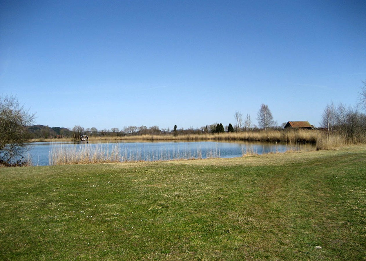Gemütliche Bike-Rundfahrt durch das Blaue Land von Sindelsdorf durch das Loisach-Kochelsee-Moor