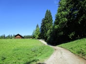 Lehenbauernalm – © mtbsepp.de