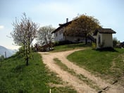 Buschenschank Lenzenhof – © mtbsepp.de
