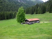 Bayralm – © mtbsepp.de