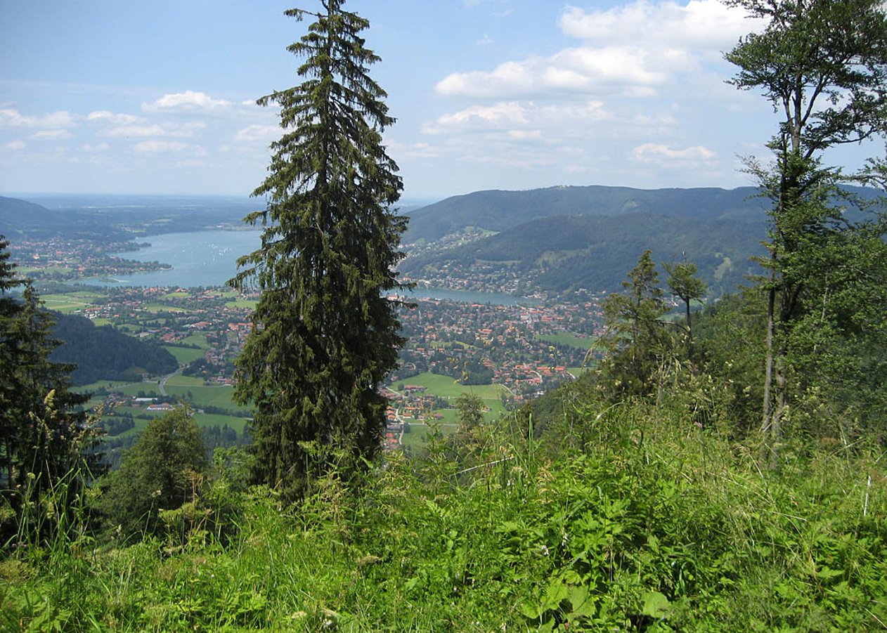 Wallberg-Rundtour von Kreuth über die Wallbergmoos-Alm am Setzberg und entlang der Weissach zurück