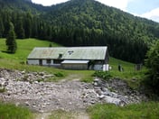 Röhrlmoos Alm – © mtbsepp.de
