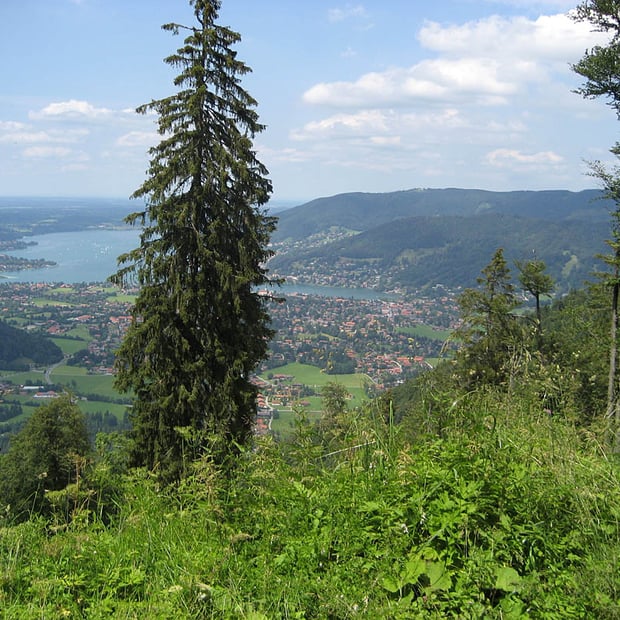 Wallberg-Rundtour von Kreuth über die Wallbergmoos-Alm am Setzberg und entlang der Weissach zurück